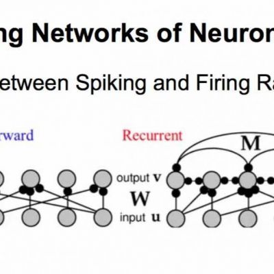 Modeling Networks of Neurons
